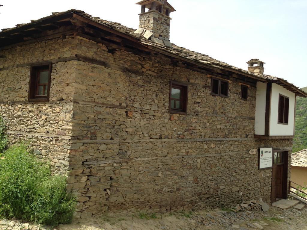 Ristevata Guest House Kovačevica Εξωτερικό φωτογραφία